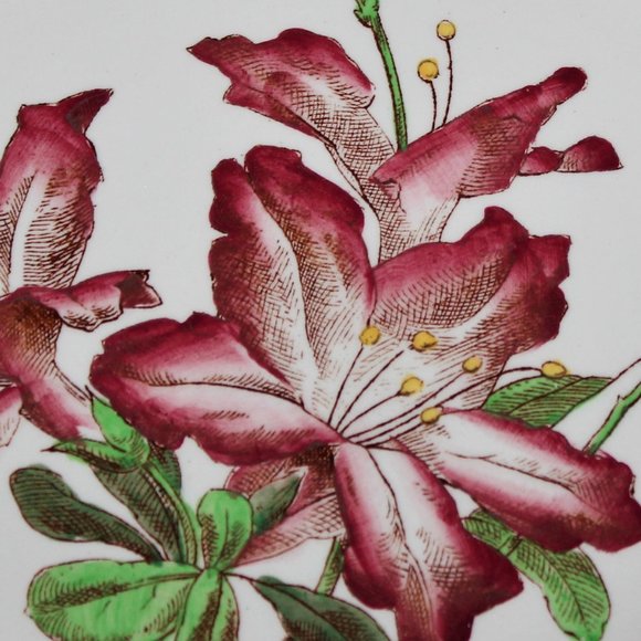 Flower Series Plate By Royal Cauldon - Picture 2 of 5